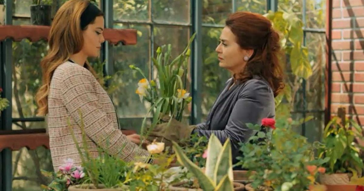 Anticipazioni Terra Amara: Zuleyha tra Lutto e Rabbia – Demir esplode!