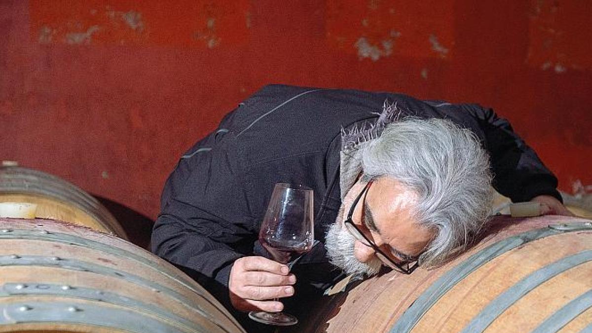 Peppe Vessicchio: La Rivoluzione del Vino con la Musica Armonica