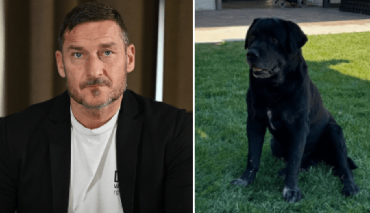 La famiglia Totti piange Diego, il fedele labrador: emozionante addio di Chanel e Francesco