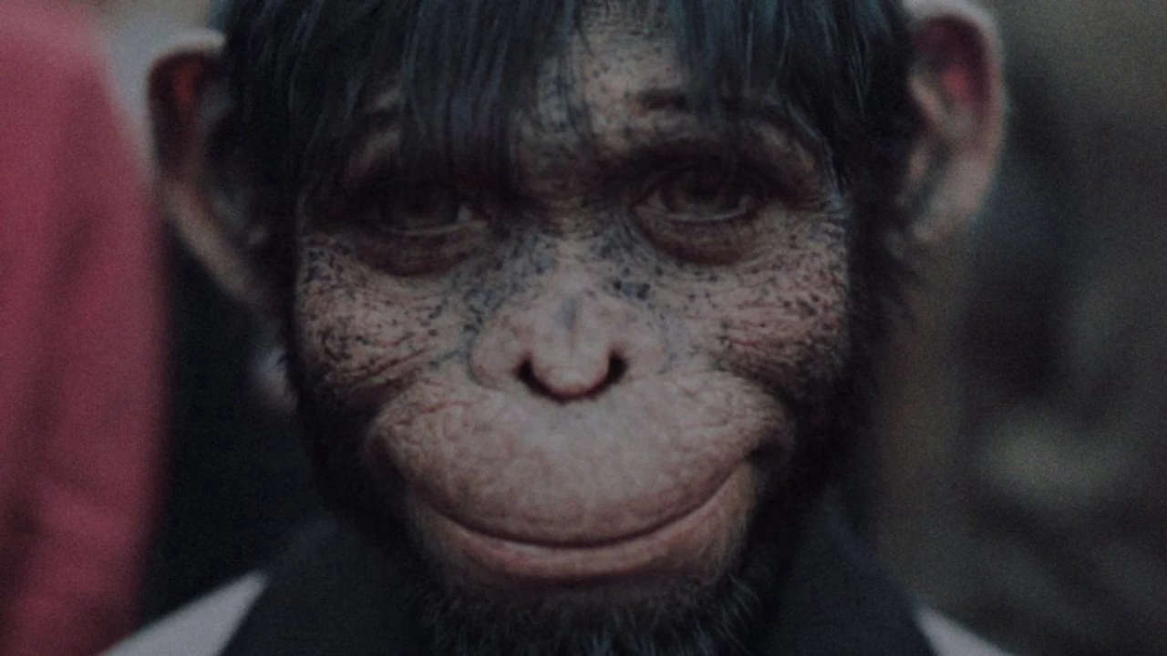 Better Man: Scopri l’Edizione 4K UHD + Blu-ray del Film che Celebra la Vita di Robbie Williams