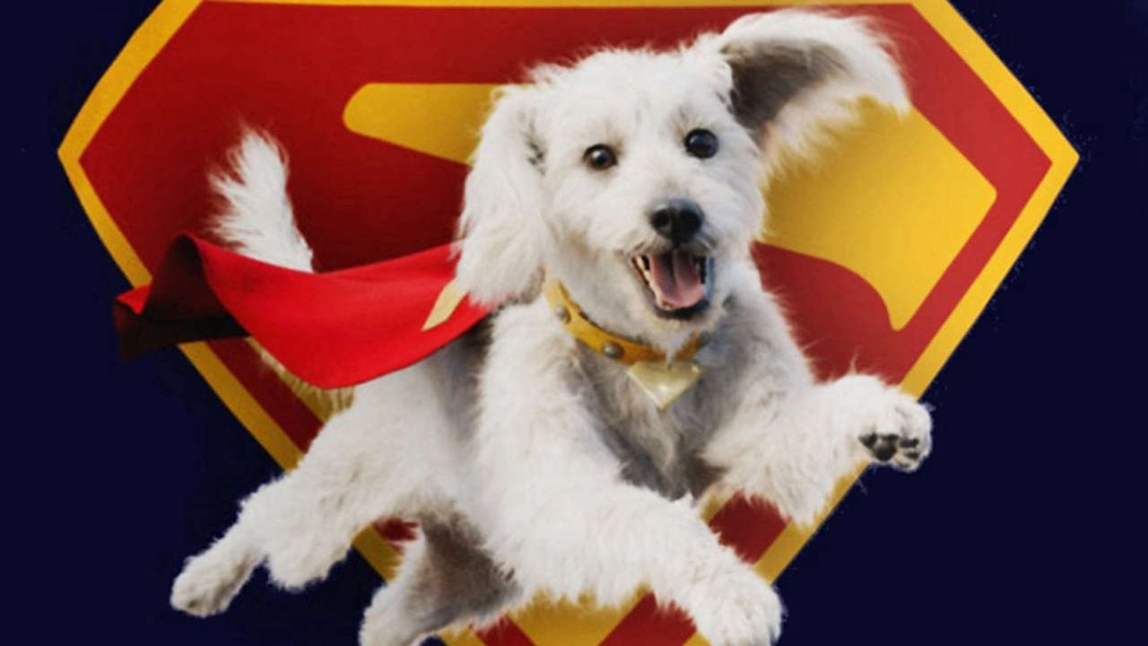 Reboot di Superman: Krypto il cane supereroe al centro di una storia emozionante e innovativa diretta da James Gunn