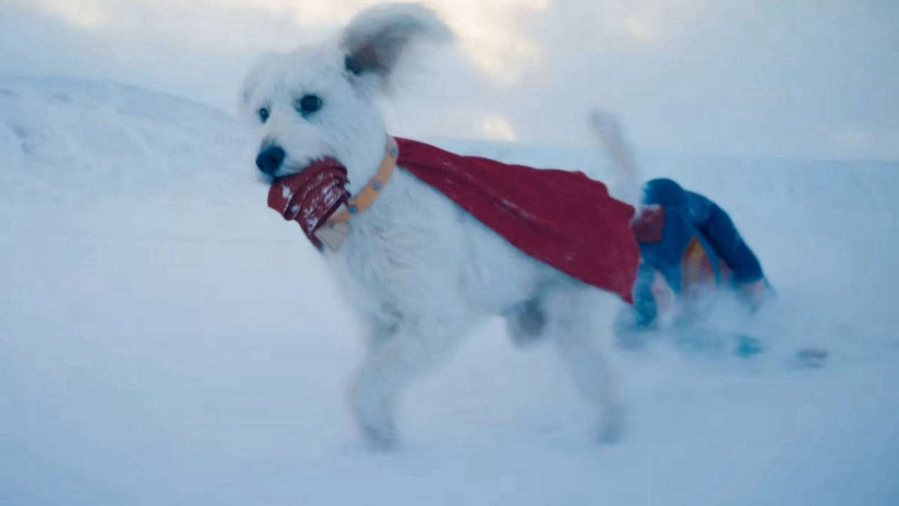 Superman: La reazione incredibile del cane di James Gunn vedendo Krypto che lascia senza parole!