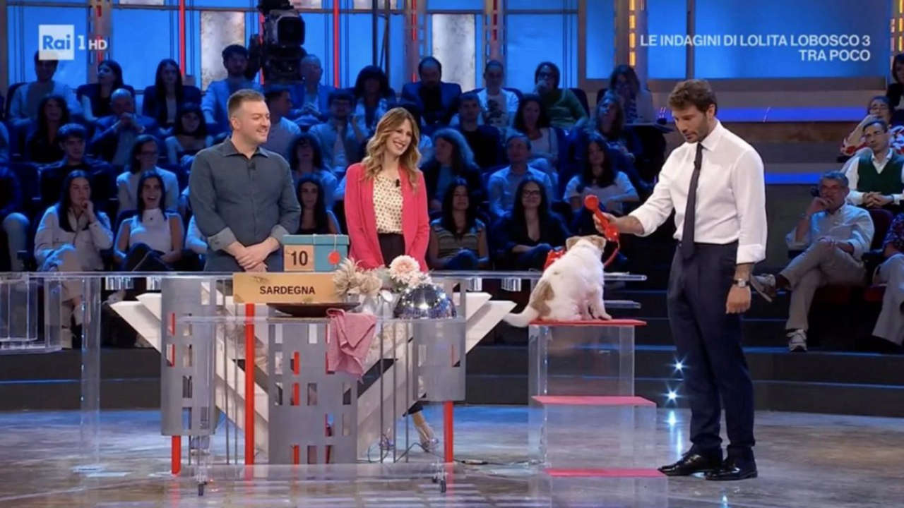 Affari Tuoi, la partita di Vanessa dalla Sardegna riscatta tutto con un numero speciale e incredibile colpo di scena