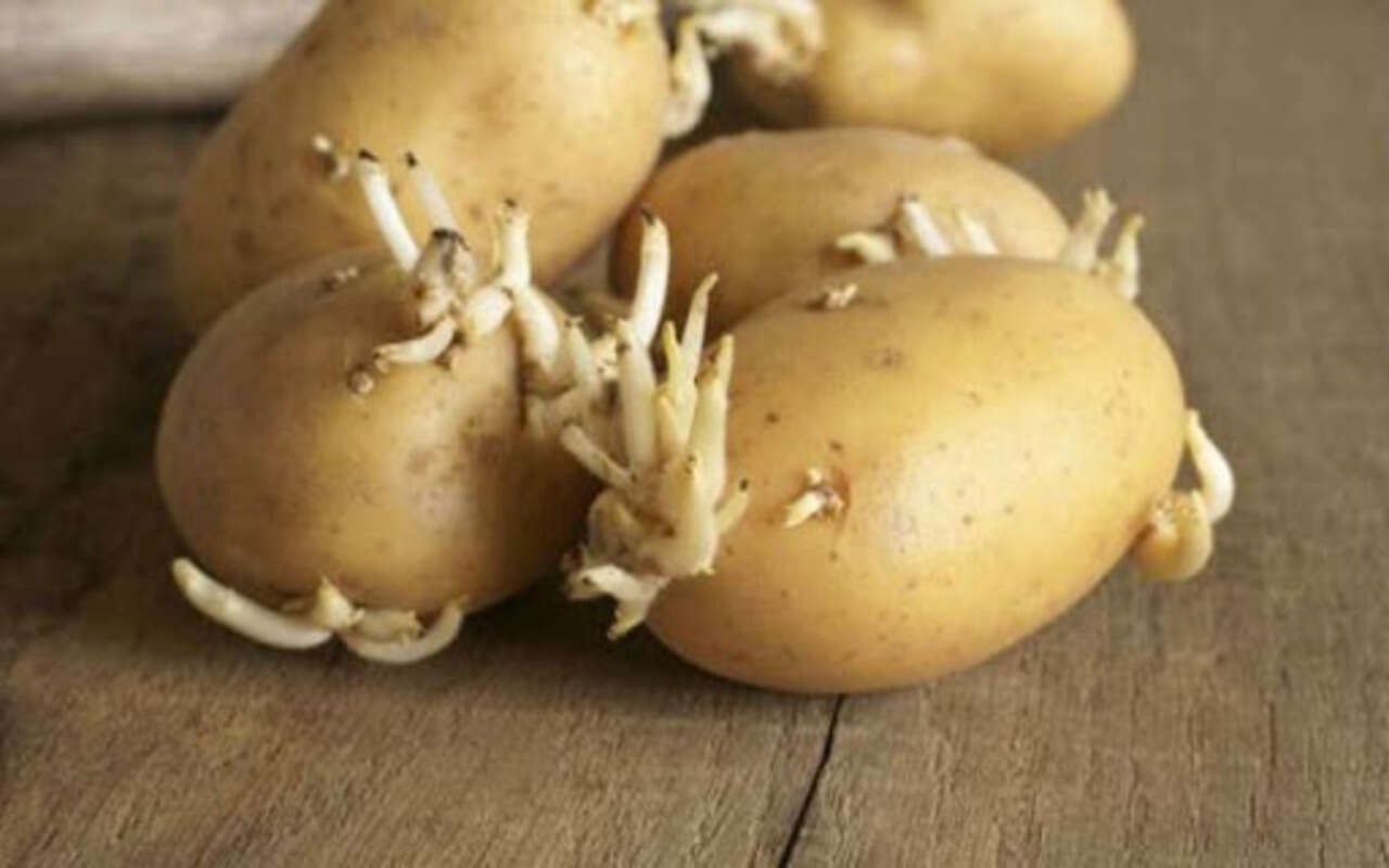Scopri gli incredibili effetti del consumo quotidiano di patate! La verità ti sorprenderà!
