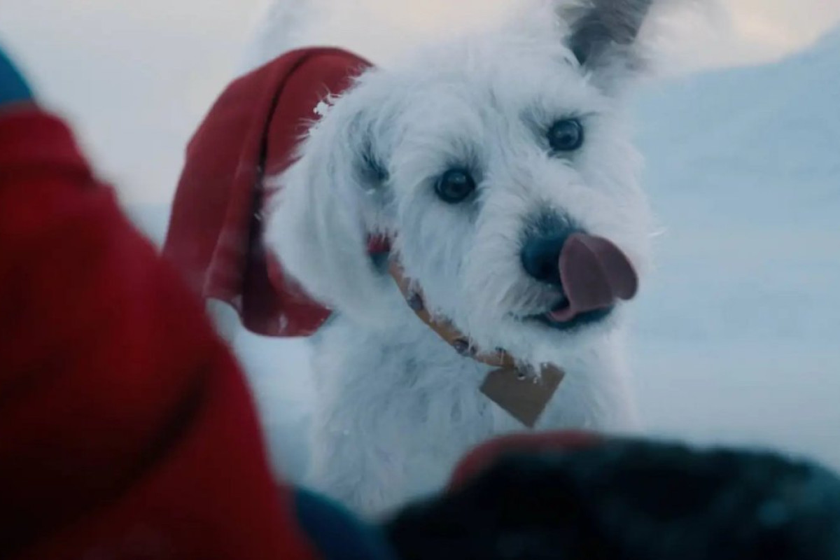 Superman torna alla fortezza della solitudine: Krypto in azione scatena un caos epico nella nuova clip!