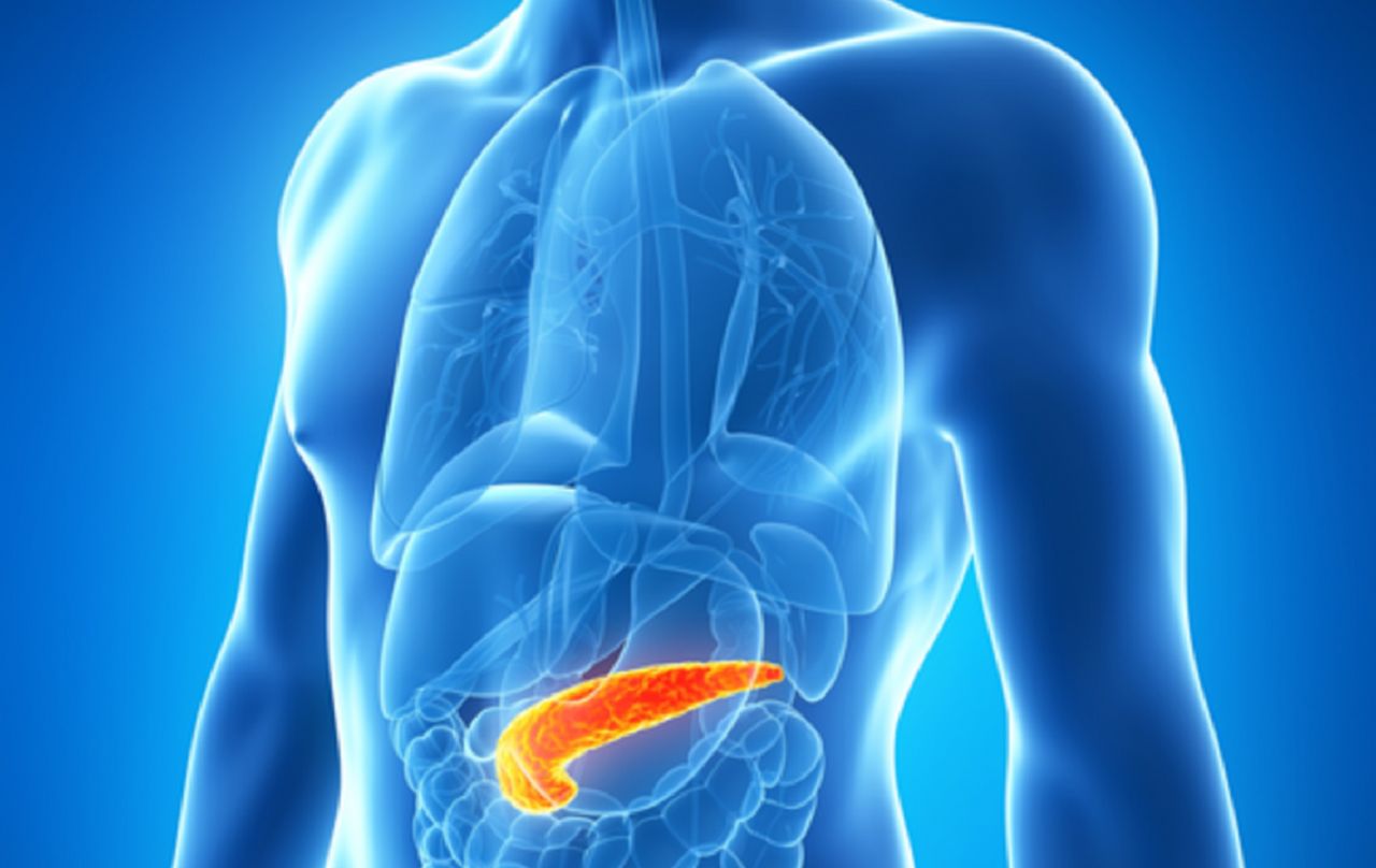 Scopri i super alimenti che proteggono il tuo pancreas: la top lista che non puoi ignorare!
