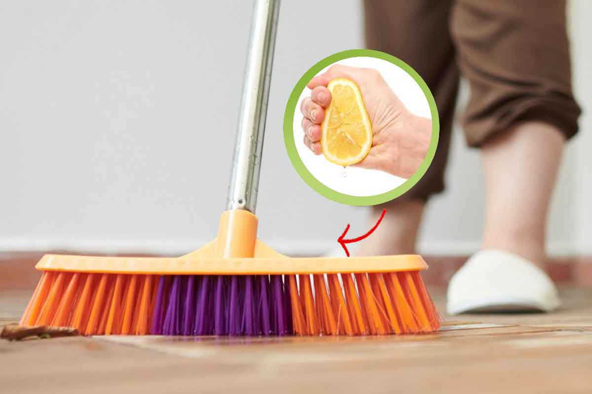 Scopri il Segreto Incredibile: Ecco Perché Dovresti Spremere un Limone Sulla Tua Scopa!