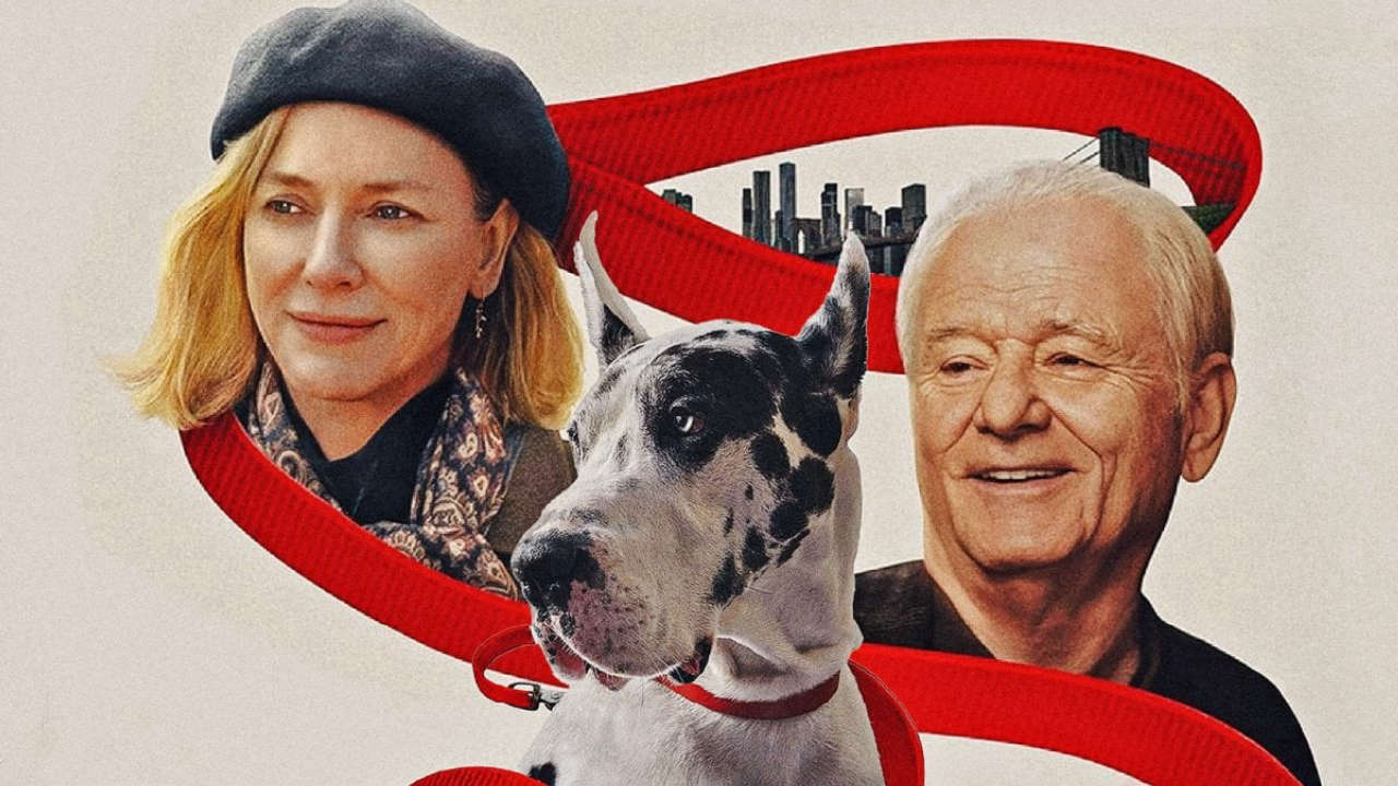 L’amico fedele (The Friend): scopri la commovente storia con Naomi Watts e Bill Murray, in arrivo dal 2023