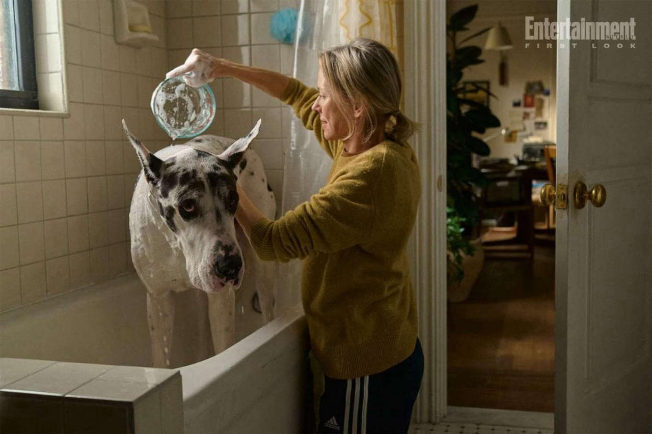 L’amico fedele: scopri la clip esclusiva con Naomi Watts e Bill Murray, al cinema dal 5 giugno!