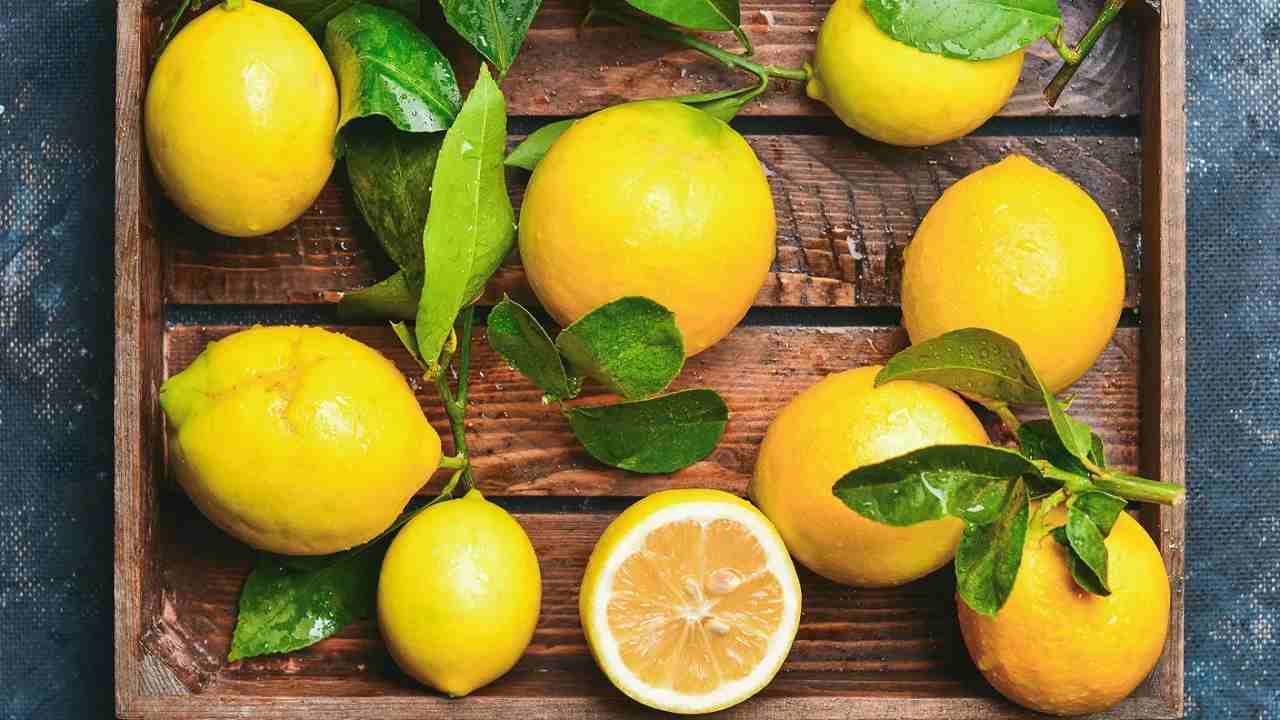 Attenzione: questi limoni al supermercato potrebbero danneggiare la tua salute! Scopri perché è meglio evitarli.