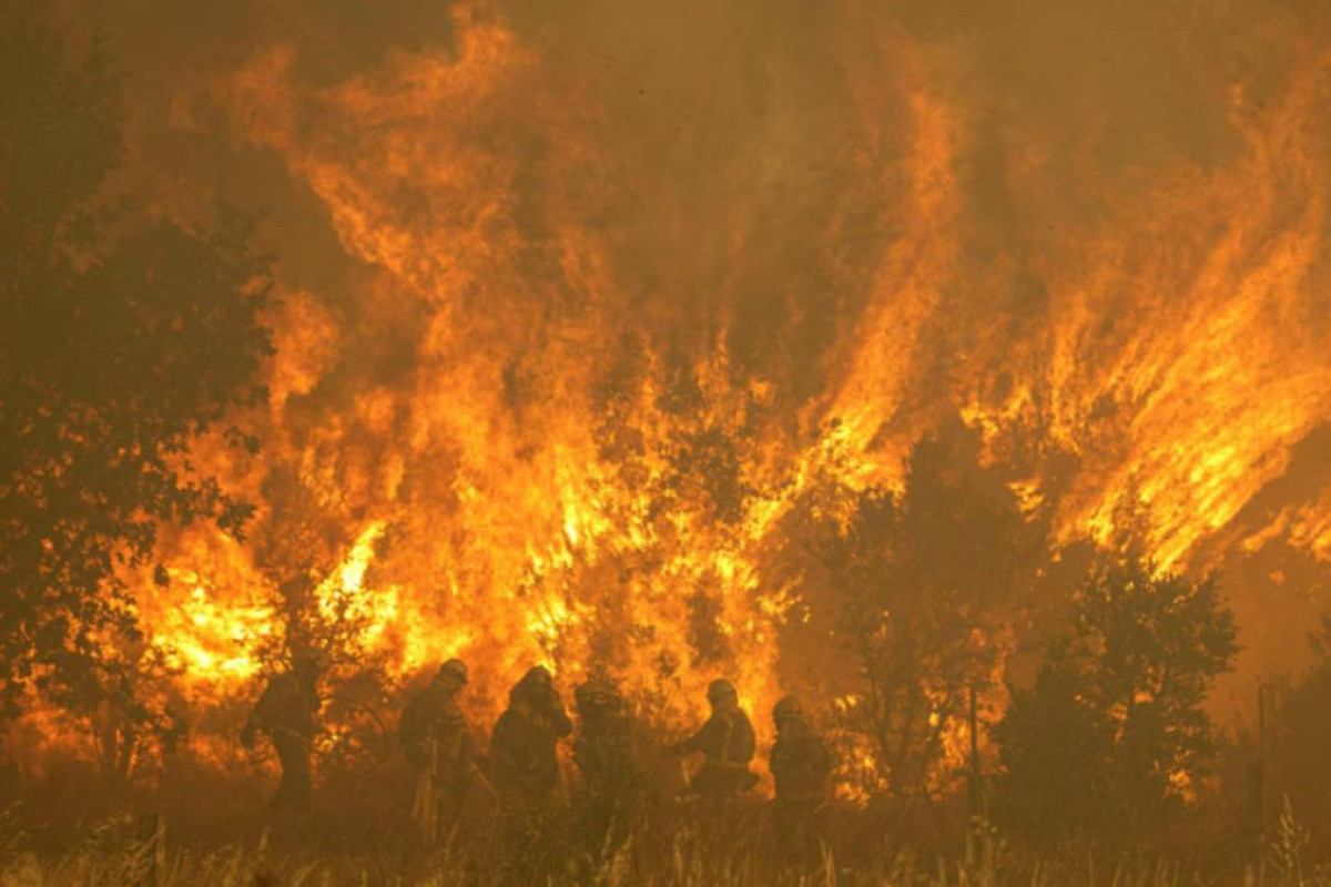Ondata di caldo record in Europa: incendi e blackout devastano Italia, Spagna e Francia con vittime in aumento