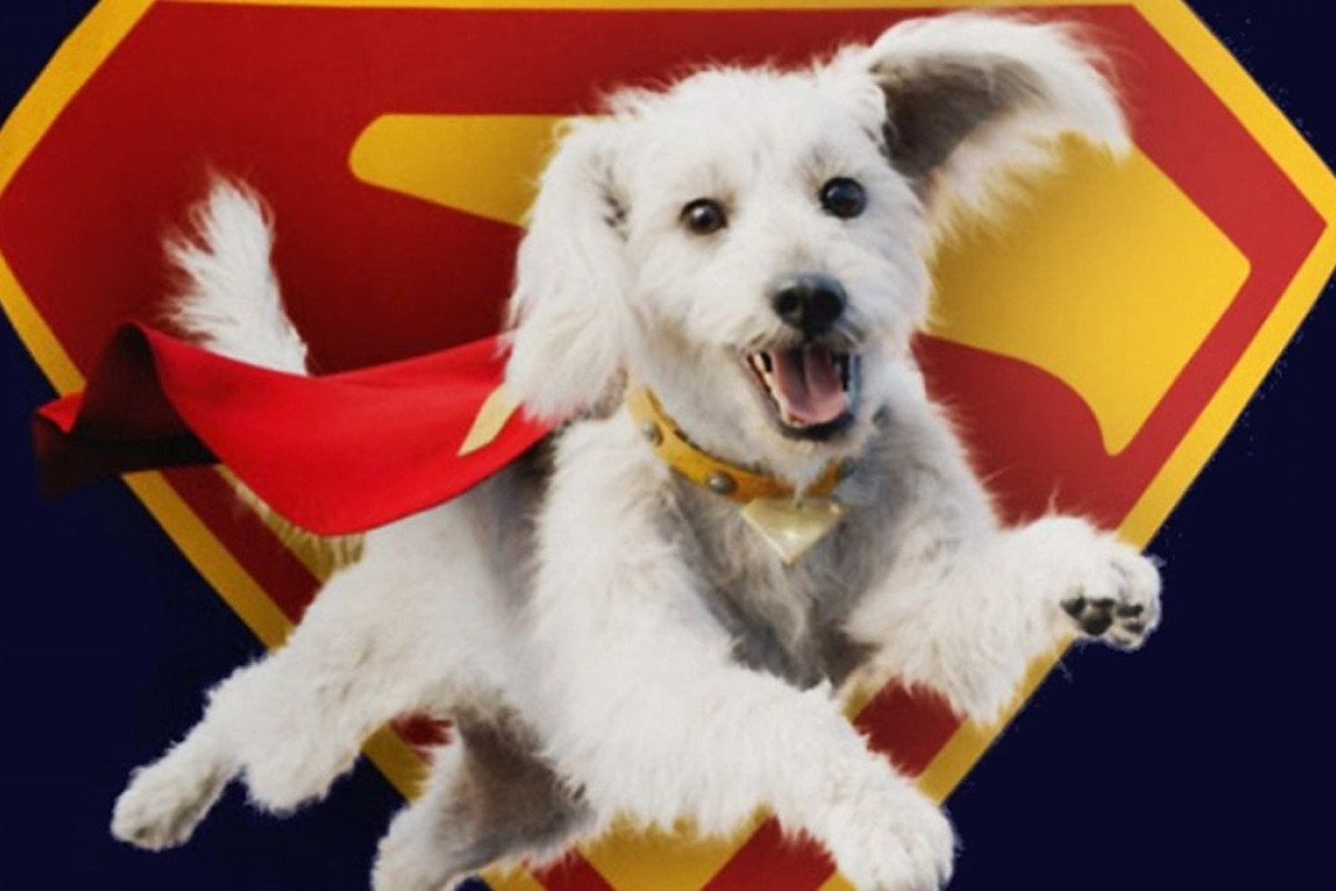 Paru Itagaki rende omaggio al Superman di James Gunn con un disegno unico di Krypto in stile Beastars