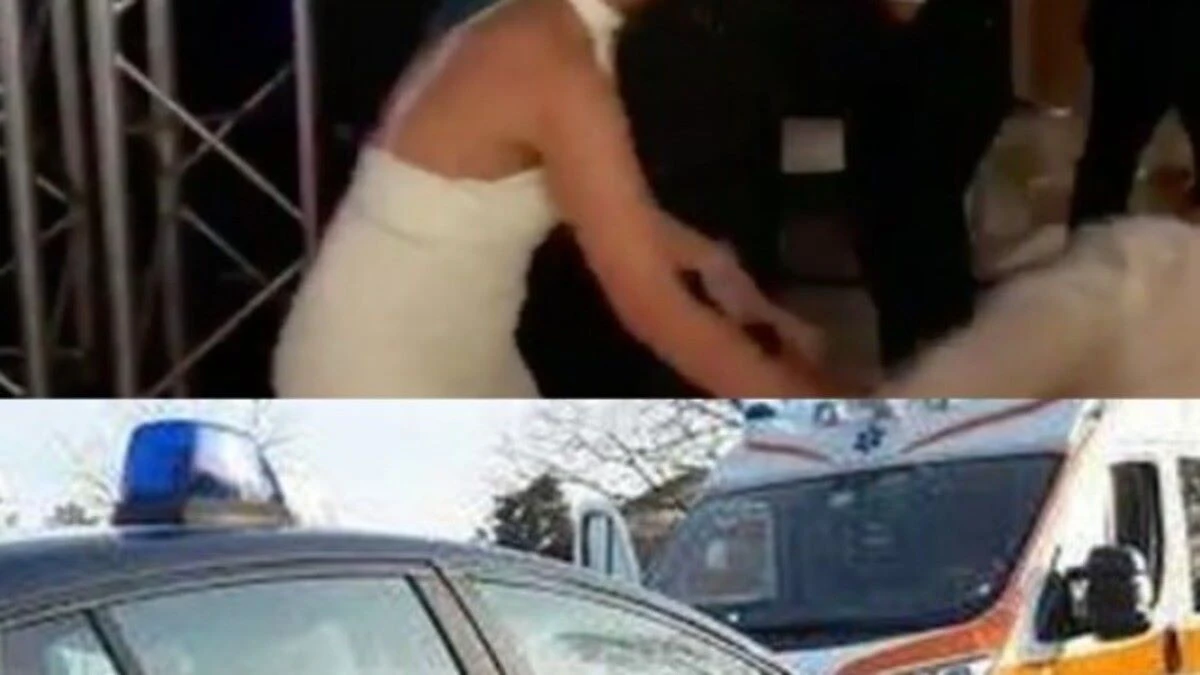 Rissa tra invitati a matrimonio e cresima a Ferentino: il caos esplode in un ristorante il 5 luglio