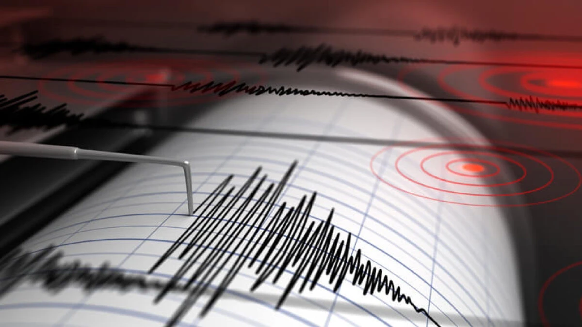 Terremoto 7.3 scuote le coste: allerta tsunami e evacuazioni in corso, la situazione è critica