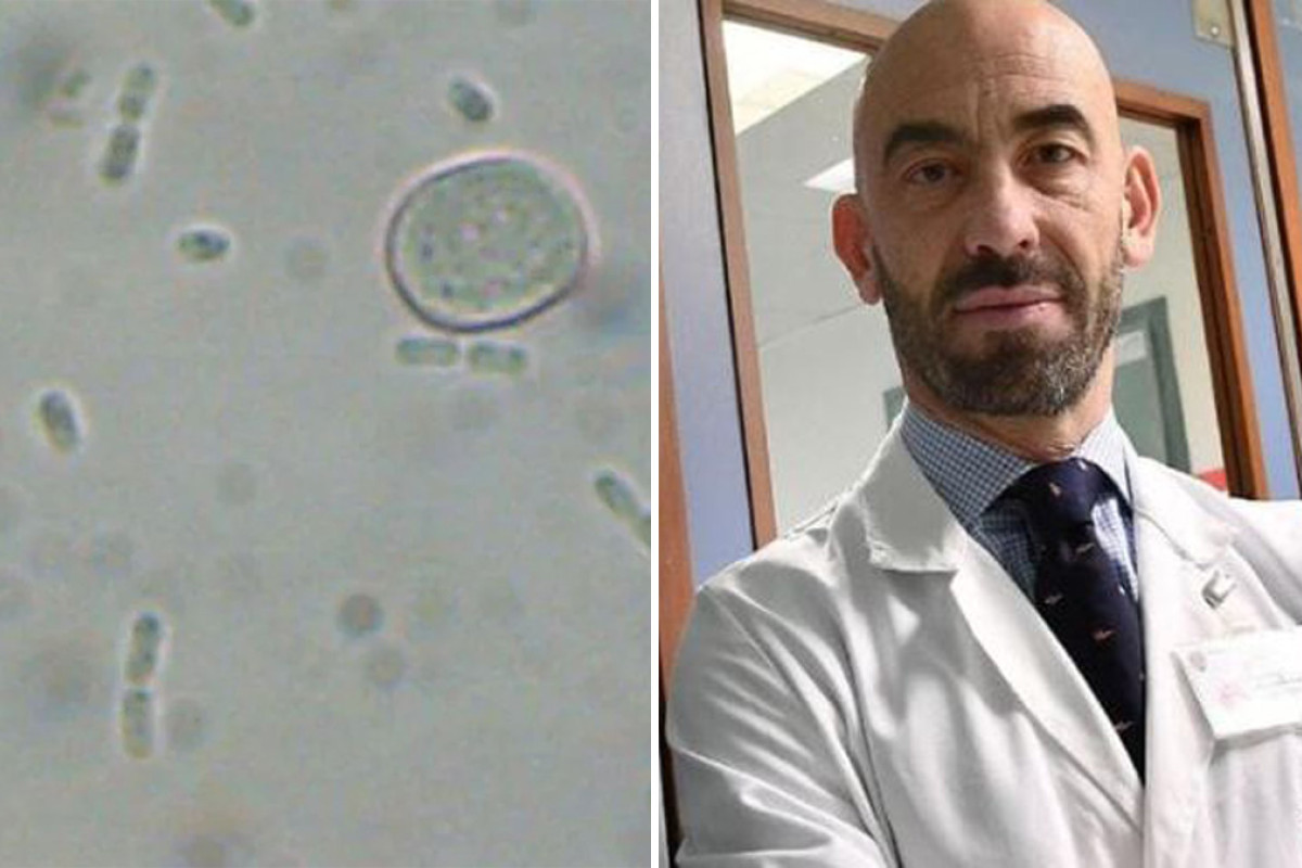 Vibrio Vulnificus, il batterio pericoloso presente nelle acque salmastre estive
