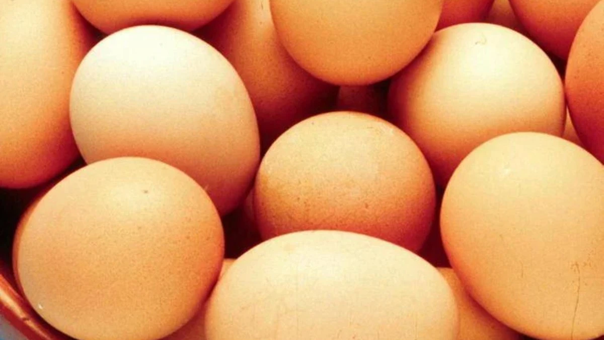 Allerta Salmonella negli Stati Uniti: 97 Contagi e Ritiro Immediato di Uova in 14 Stati