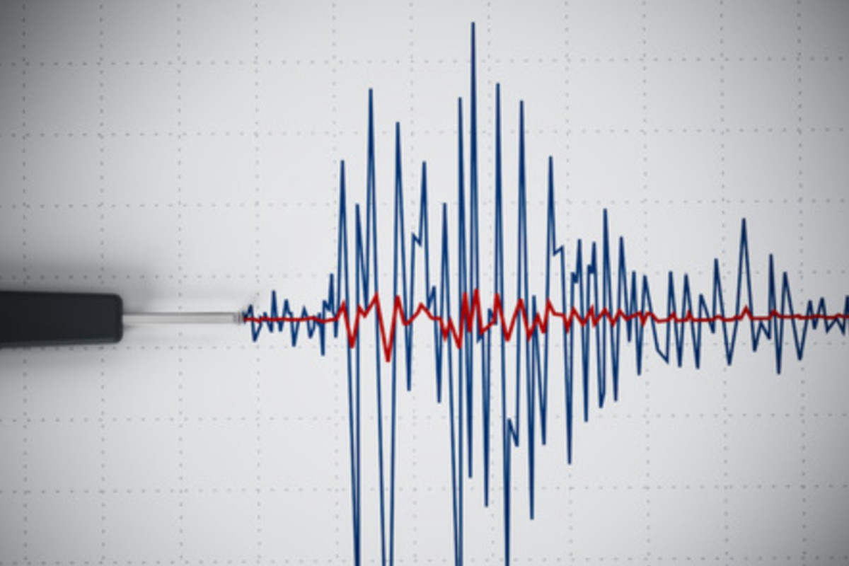 Terremoto di magnitudo 4.7 scuote il Tirreno meridionale: paura in Sicilia e Trapani, cosa è successo?
