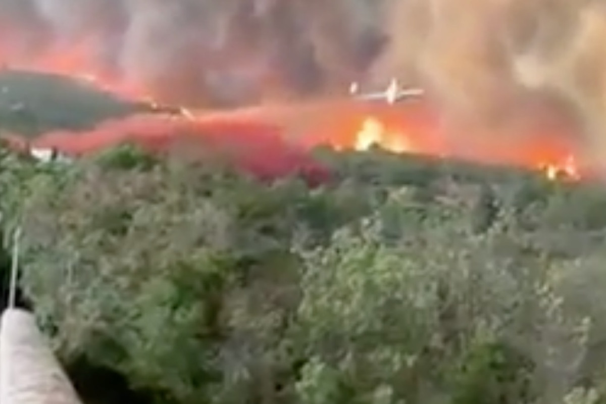 Incendio devastante nel Sud della Francia: 16.000 ettari in fiamme, una vittima e numerosi feriti