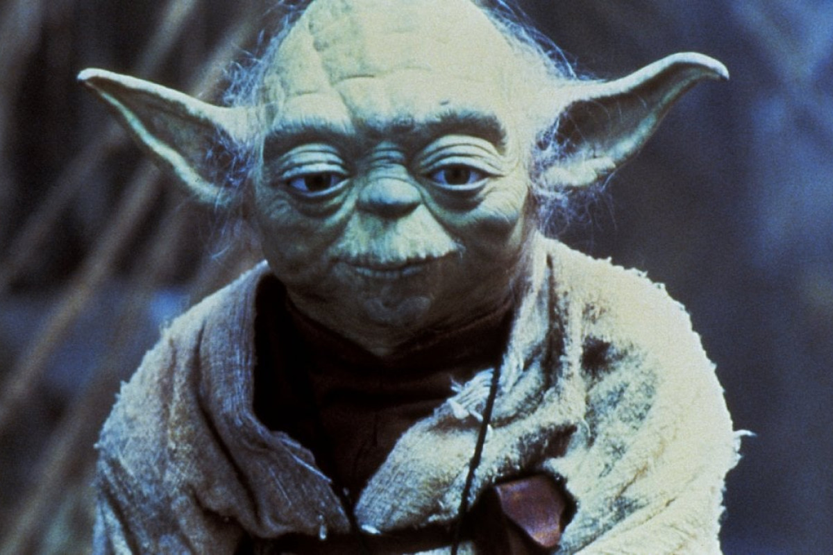 Yoda e il mistero della scimmia Jedi: il retroscena inaspettato di Star Wars che sorprende i fan