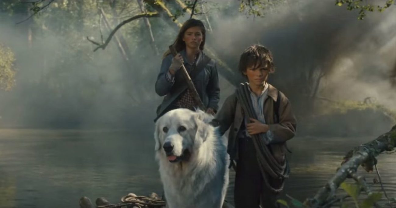 Rai 1 presenta Belle e Sebastien L’avventura continua un emozionante sequel ambientato nel dopoguerra