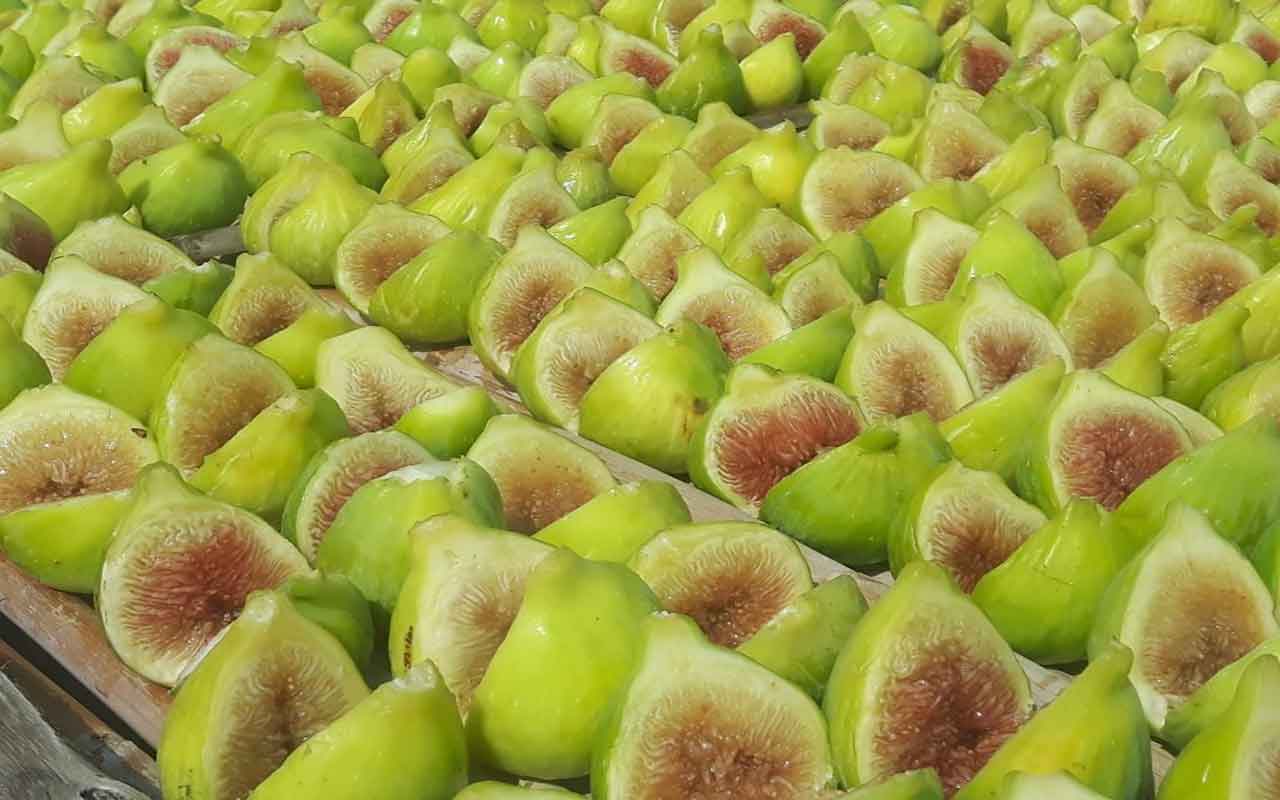 Scopri i sorprendenti benefici per la salute che derivano dal mangiare la buccia dei fichi! Non riesci a credere ai risultati? Leggi subito!