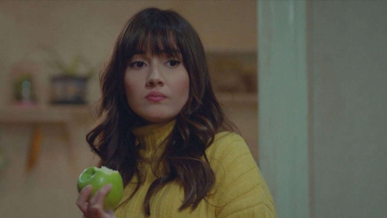 Forbidden Fruit, anticipazioni fino al 15 agosto: Cem si mostra sempre più attratto da Zeynep