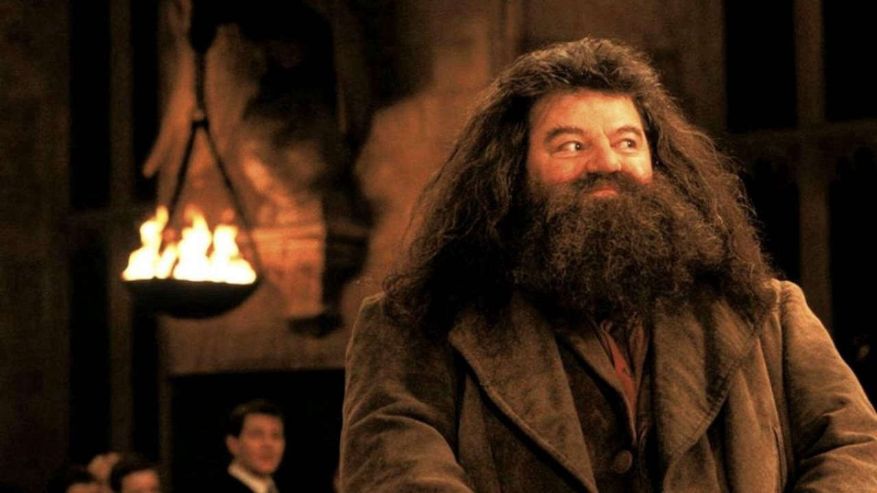 Harry Potter Chris Columbus critica il nuovo Hagrid del reboot HBO per la scarsa originalità
