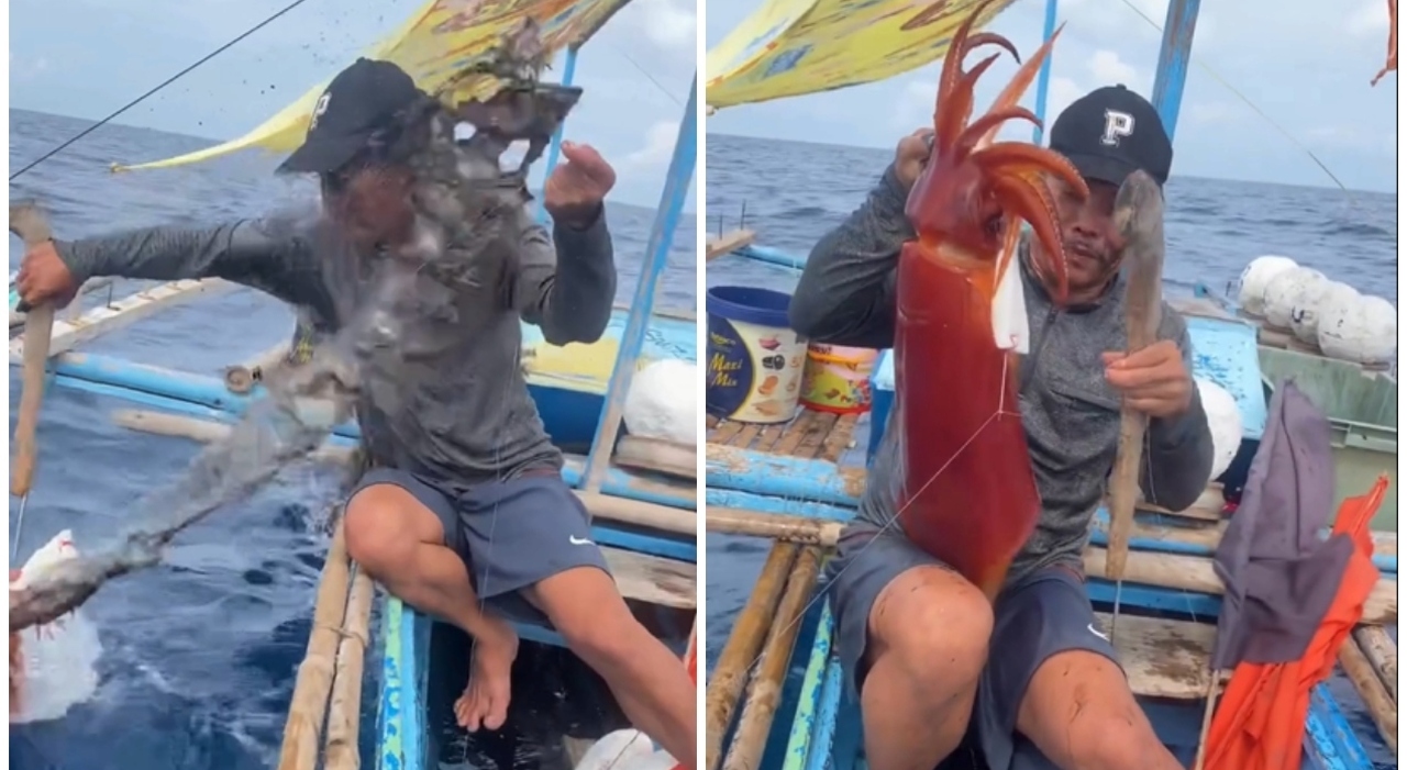 Calamaro gigante si difende spruzzando inchiostro: il dibattito sulla pesca si accende nelle Filippine