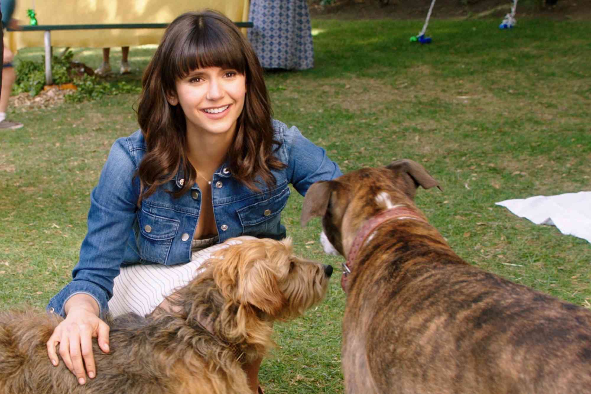 Dog Days su Rai 3: Una Commedia che Celebra l’Amore per i Cani e le Storie Intrecciate dei Personaggi