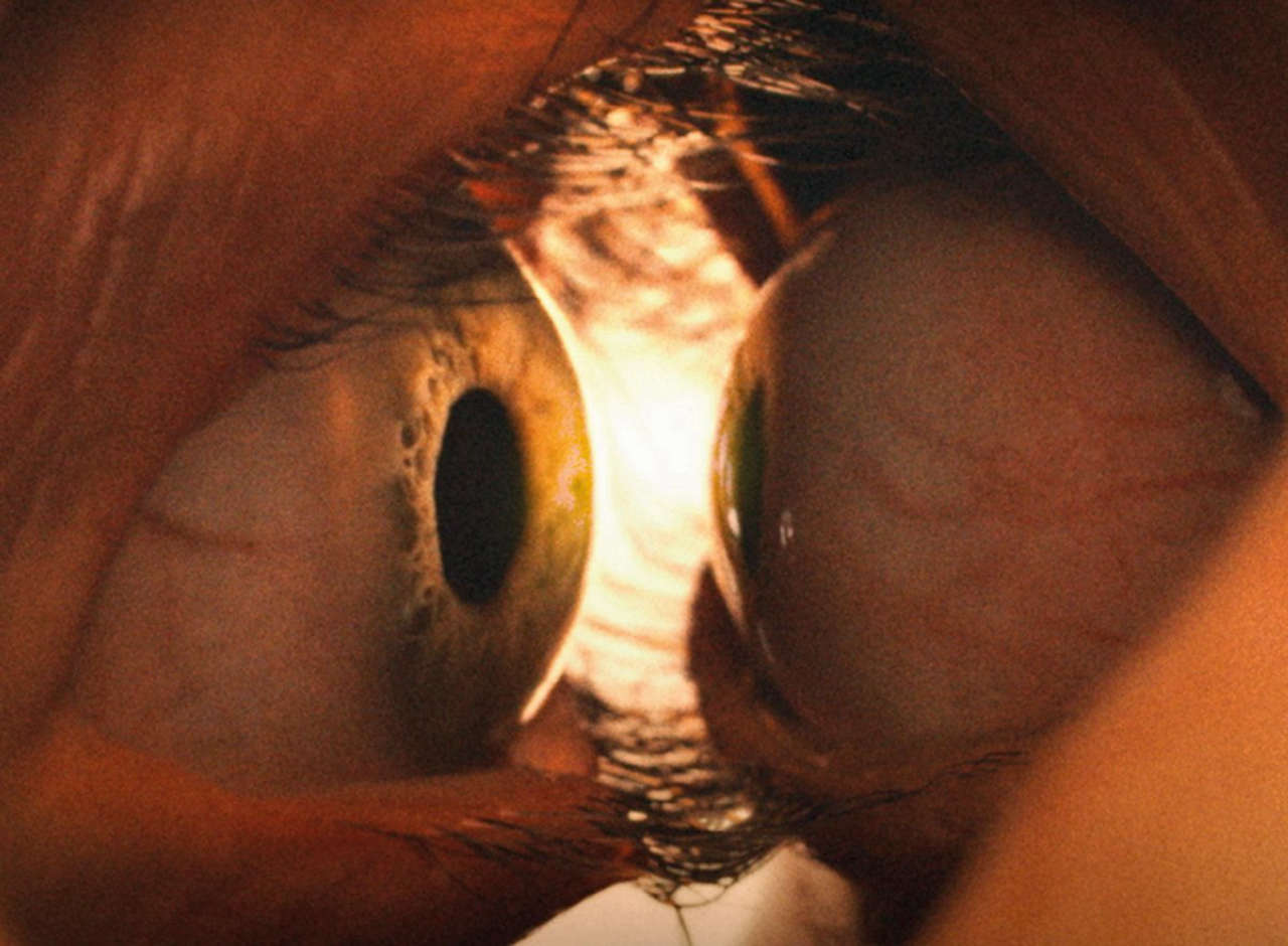 The Substance e Together raccontano la realtà attraverso il cinema body horror.
