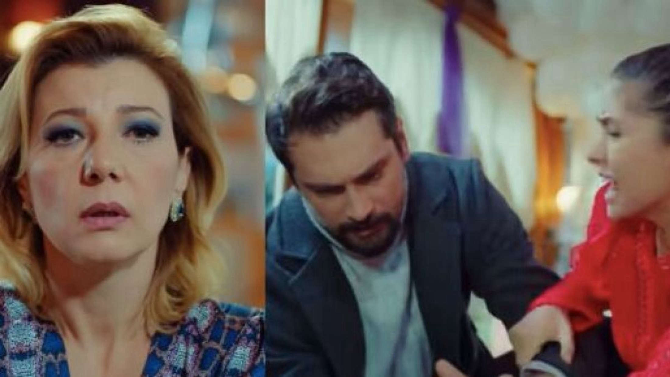 Forbidden Fruit episodi al 26/09: Alihan colpisce Zerrin mentre Erim incontra gli amici di Alp