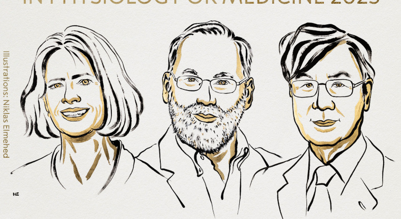 Premio Nobel 2025 per la Medicina a Brunkow, Ramsdell e Sakaguchi per le loro scoperte sulla tolleranza immunitaria