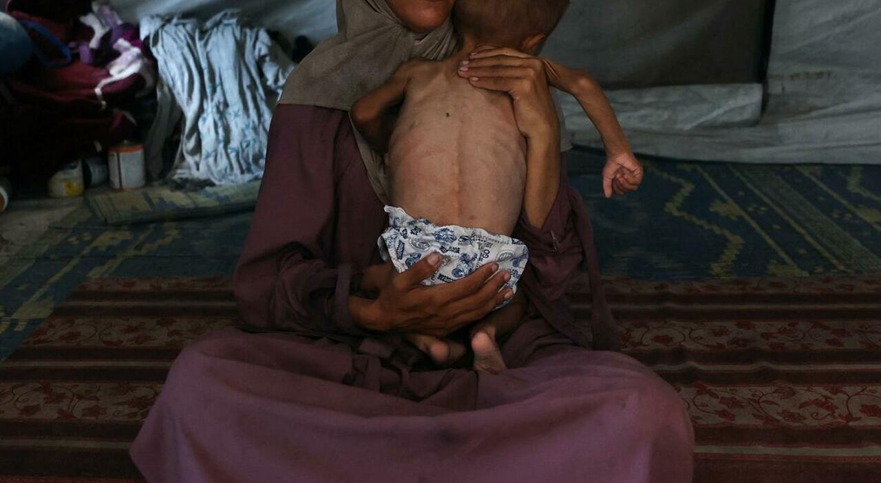 Gemellini palestinesi nati in guerra: la lotta di una madre tra fame e distruzione a Gaza
