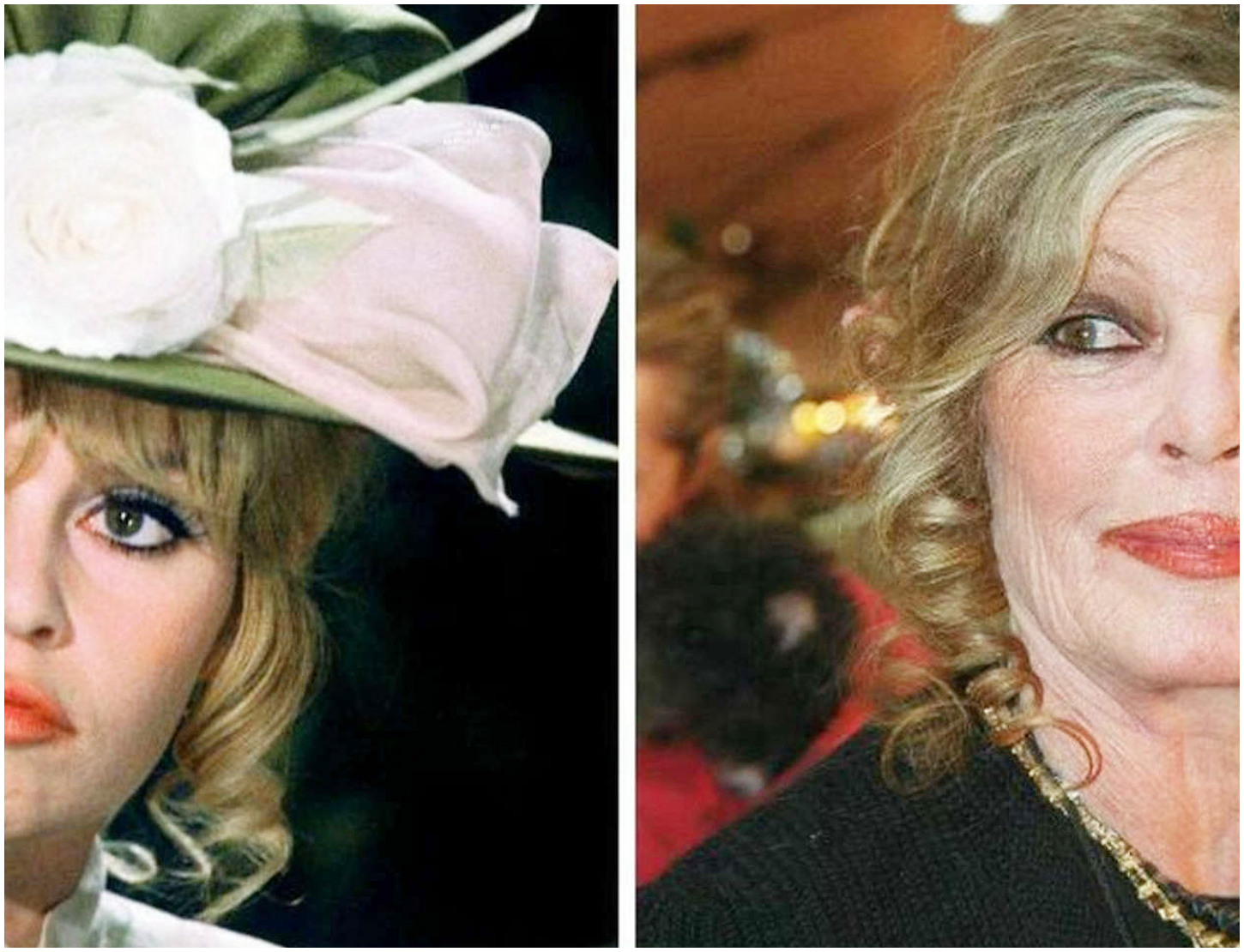 Brigitte Bardot operata e attualmente in ricovero per una grave malattia: le sue condizioni destano preoccupazione Brigitte Bardot operata e attualmente in ricovero per una grave malattia: le sue condizioni destano preoccupazione