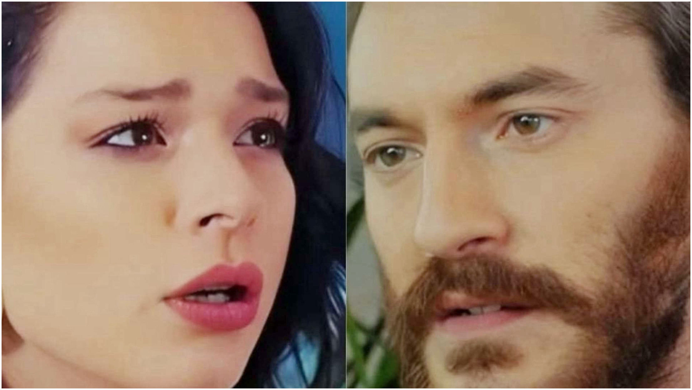 Forbidden Fruit, spoiler 2ª serie: Kemal in rovina e la moglie chiede il divorzio Forbidden Fruit, spoiler 2ª serie: Kemal in rovina e la moglie chiede il divorzio