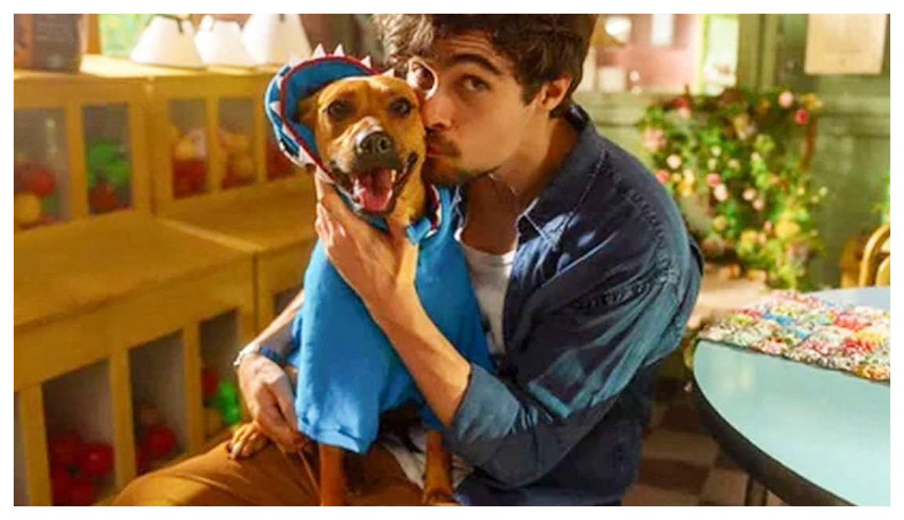 Caramelo racconta un film Netflix ispirato a una storia vera e a un cane simbolo del Brasile