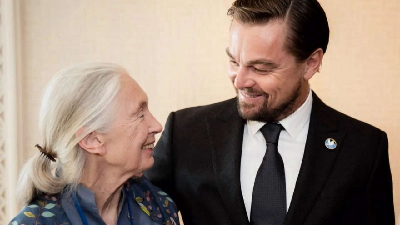 Leonardo DiCaprio esprime ammirazione per Jane Goodall con un messaggio affettuoso