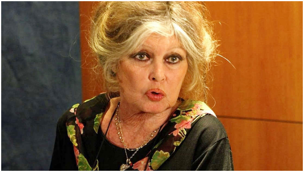 Brigitte Bardot ricoverata da tre settimane in ospedale per una grave malattia Brigitte Bardot ricoverata da tre settimane in ospedale per una grave malattia