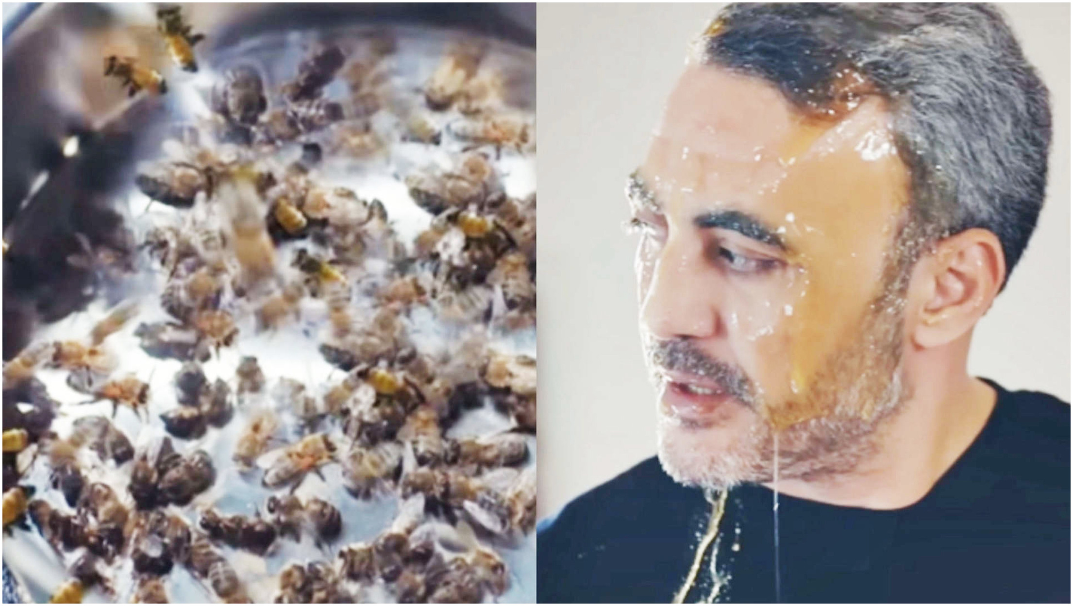 La forza di una donna spoiler Turchia: Nezir sorprende Munir con un gesto inaspettato e le api restano a bocca aperta