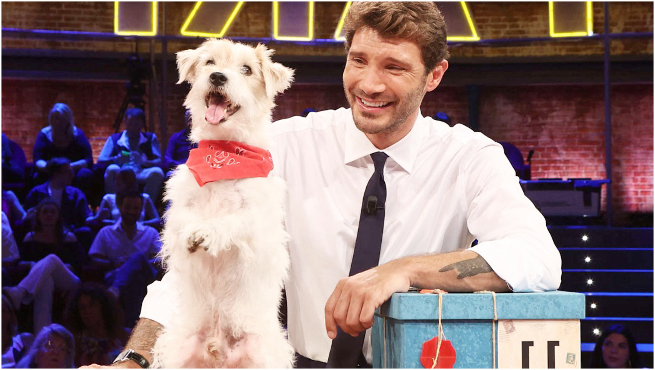 Affari Tuoi, il Sud Italia escluso dai casting: analisi delle Regioni scomparse dalla selezione