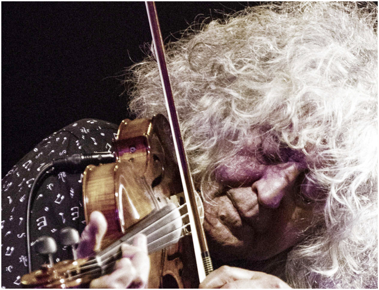 Angelo Branduardi colpito da malore e ricoverato, rinviato il concerto previsto a Roma. Come sta il cantautore