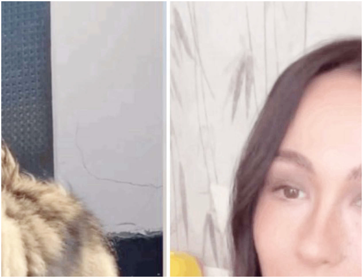 Aurora Ramazzotti esprime tristezza per il suo gatto che sembra allontanarsi da lei