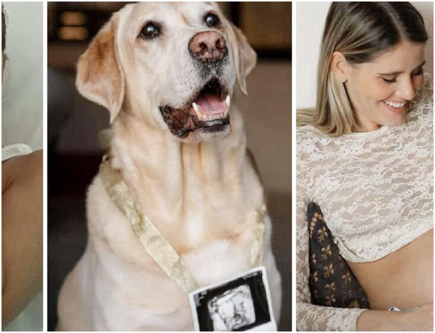 Briga e Arianna condividono l’emozione di un’ecografia: il sostegno di Sabrina Ferilli e amici