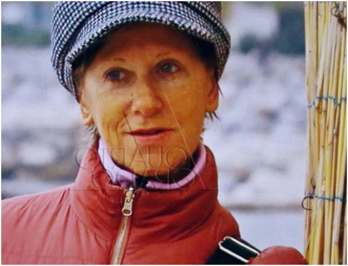 Caso Liliana Resinovich: nuovi sviluppi sul mistero dei sacchi neri e dichiarazioni da un testimone