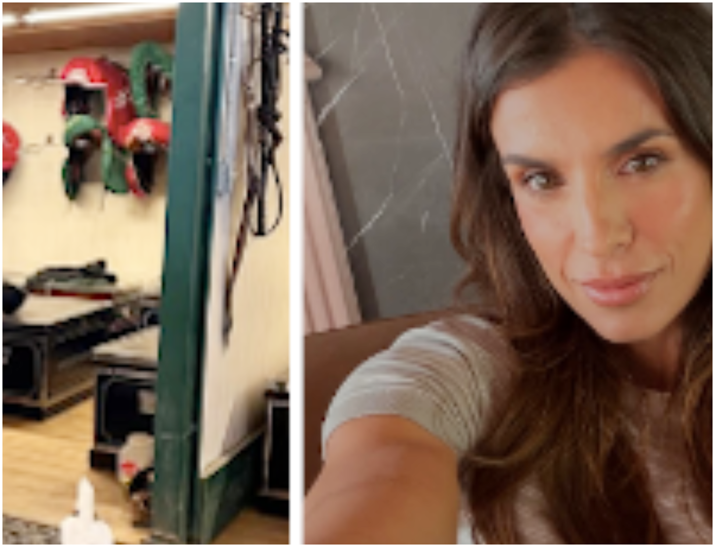 Elisabetta Canalis racconta ai fan il progresso del cane che ha salvato dalla strada