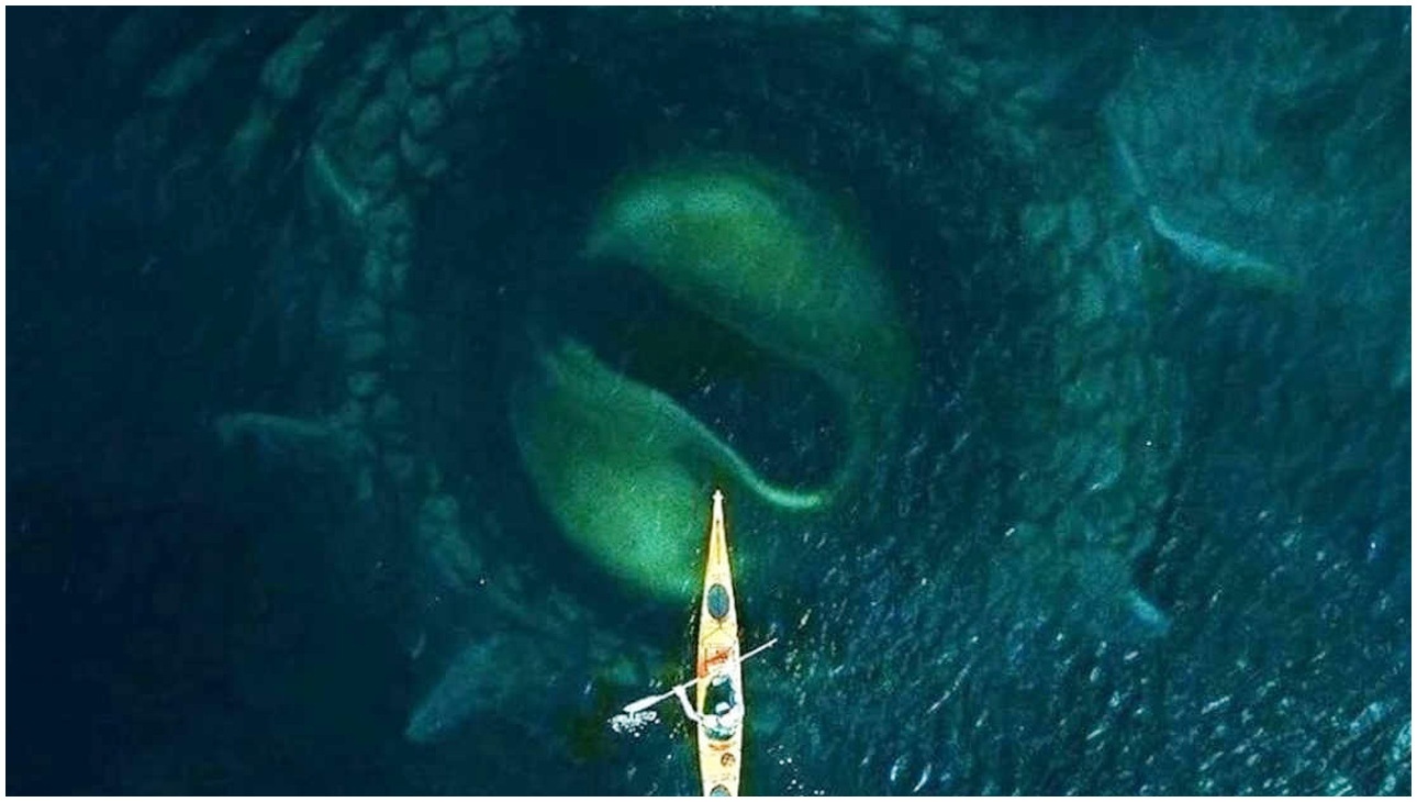 Kraken, il leggendario mostro norvegese si confronta con le paure dell’horror contemporaneo