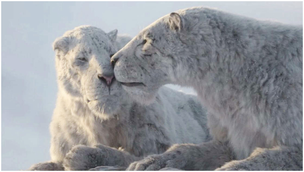 Il Pianeta Preistorico: Era Glaciale, la nuova docuserie narrata da Tom Hiddleston su Apple TV