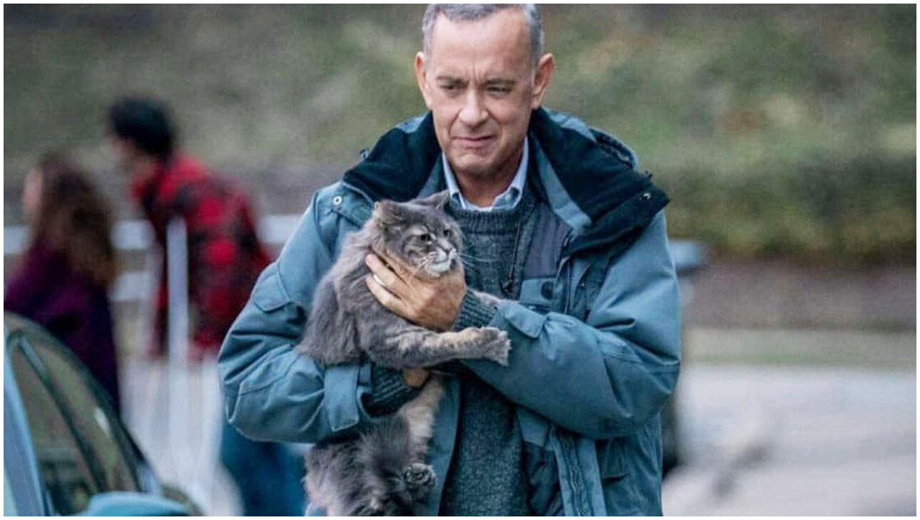 Non così vicino con Tom Hanks su Rai 1: ecco trama e cast del film in onda stasera