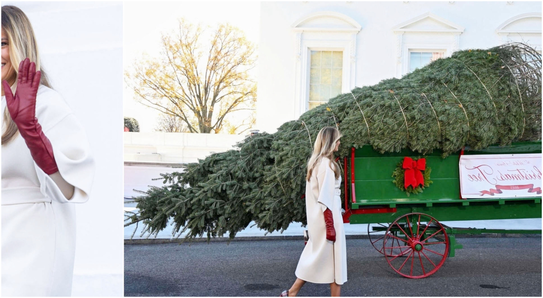 Melania Trump allestisce la Casa Bianca con un albero di Natale imponente di 8 metri
