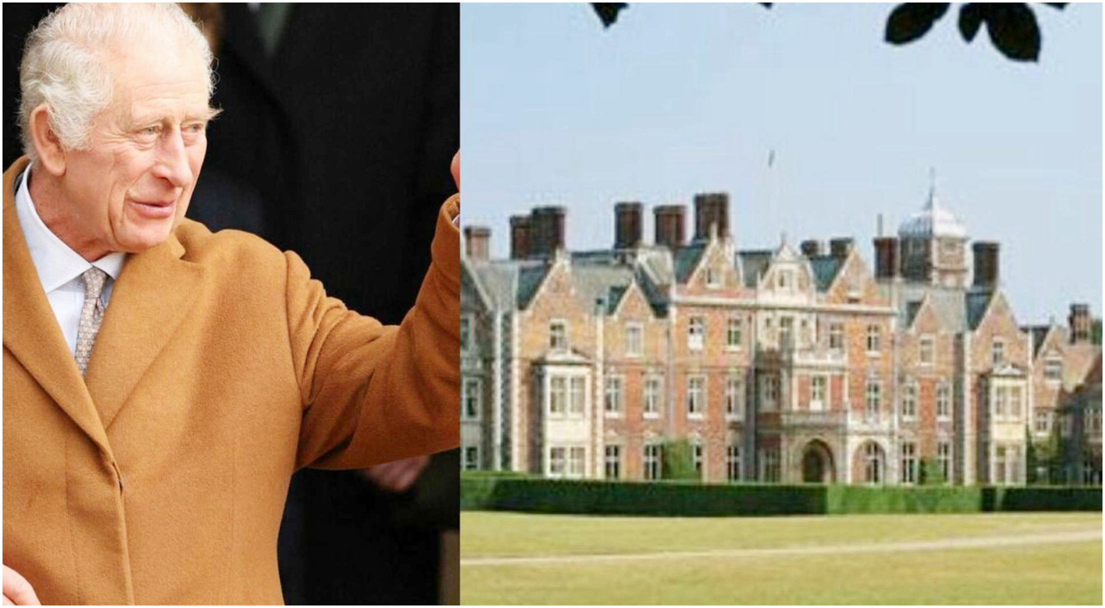 Re Carlo avverte: pericoli nel parco di Sandringham per cani affetti da malattie misteriose
